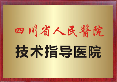 四川省人民医院技术指导医院